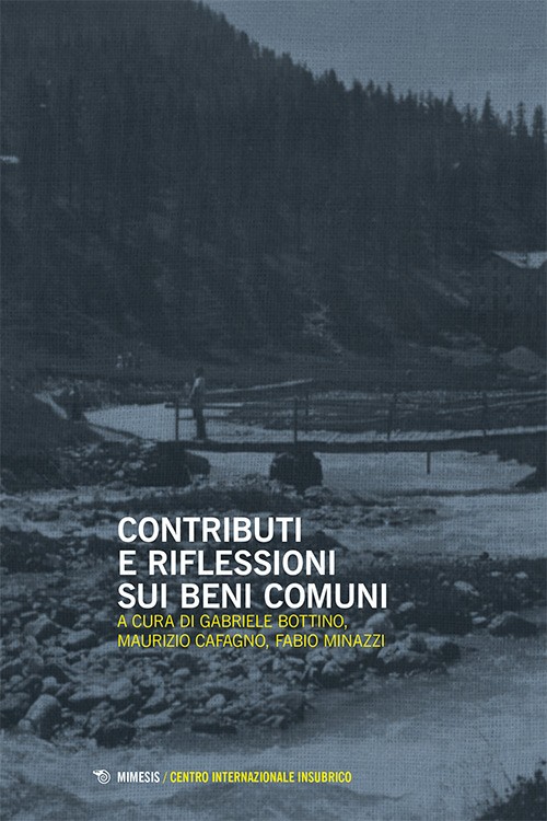 Book Cover: Contributi e riflessioni sui beni comuni