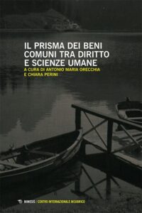 Book Cover: Il prisma dei beni comuni tra diritto e scienze umane