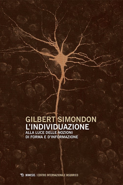 Book Cover: L'individuazione